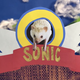 Image for article titled A real-life hedgehog takes on Sonic